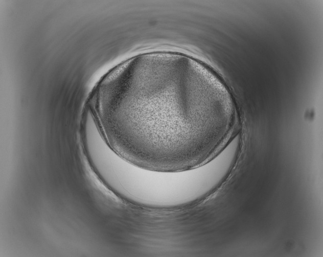 X0000114201518200910231332