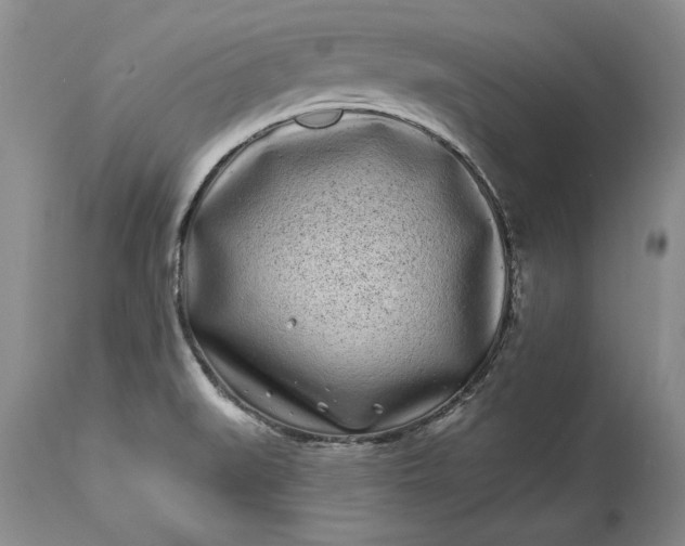 X0000114201519200910231332