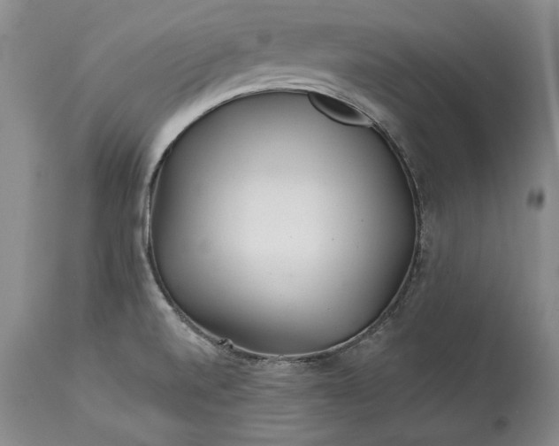 X0000114201520200910231332