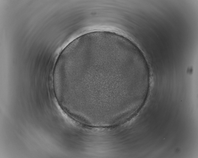 X0000114201521200910231332