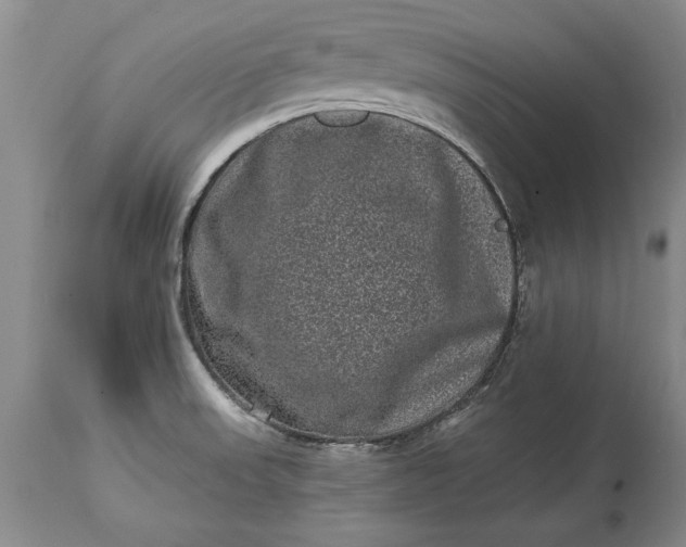 X0000114201523200910231332