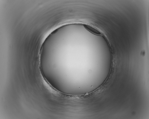 X0000114201524200910231332