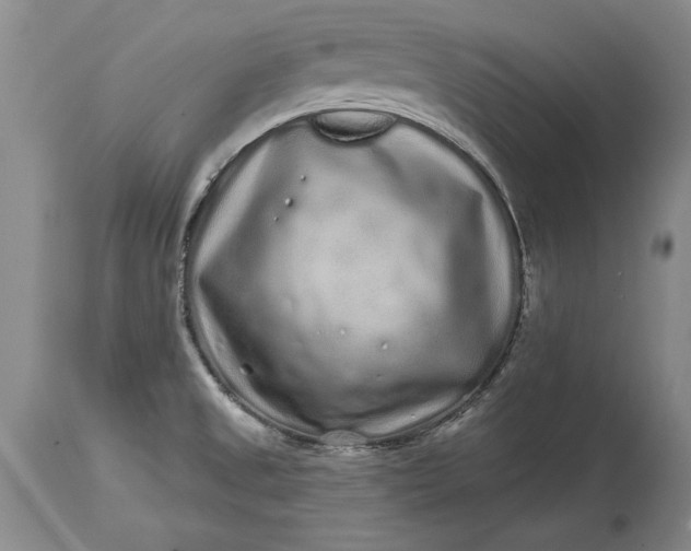 X0000114201525200910231332