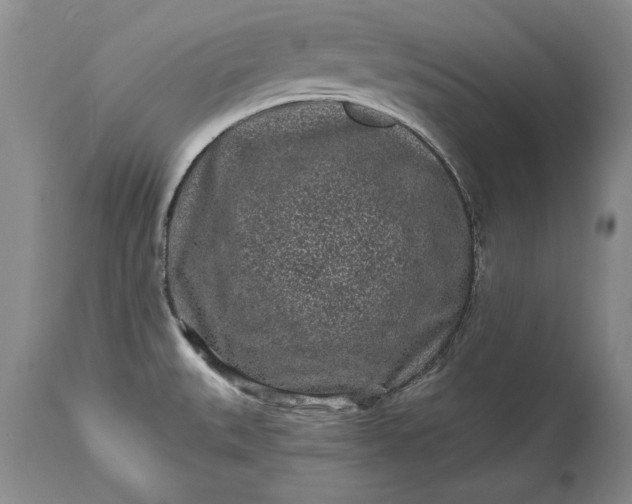 X0000114201527200910231332