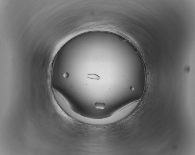 X0000114201528200910231332