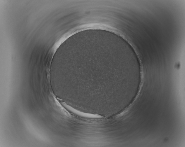 X0000114201529200910231332