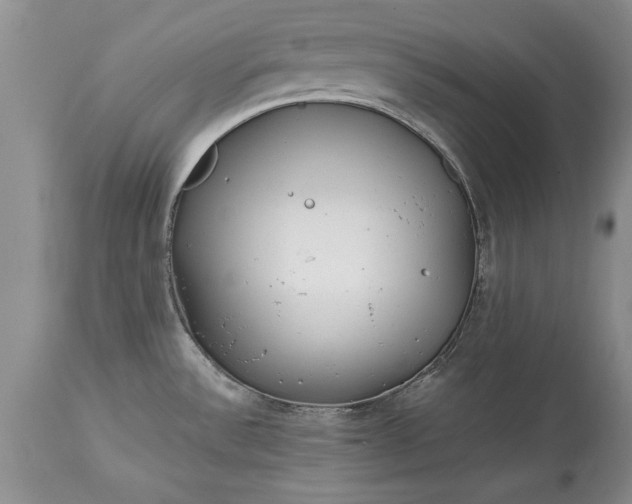 X0000114201532200910231332