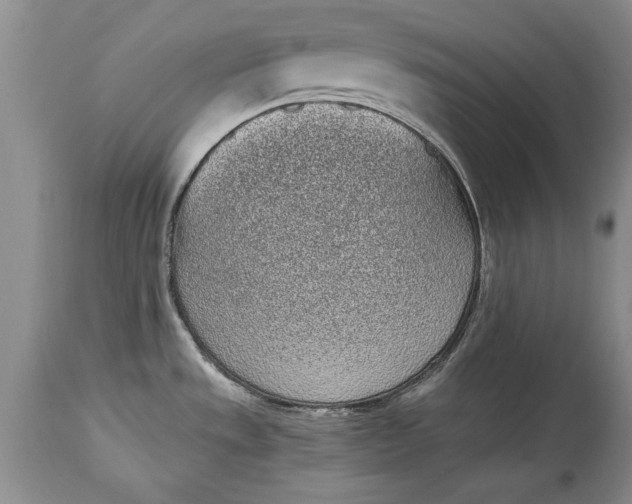 X0000114201533200910231332