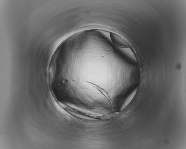 X0000114201535200910231332