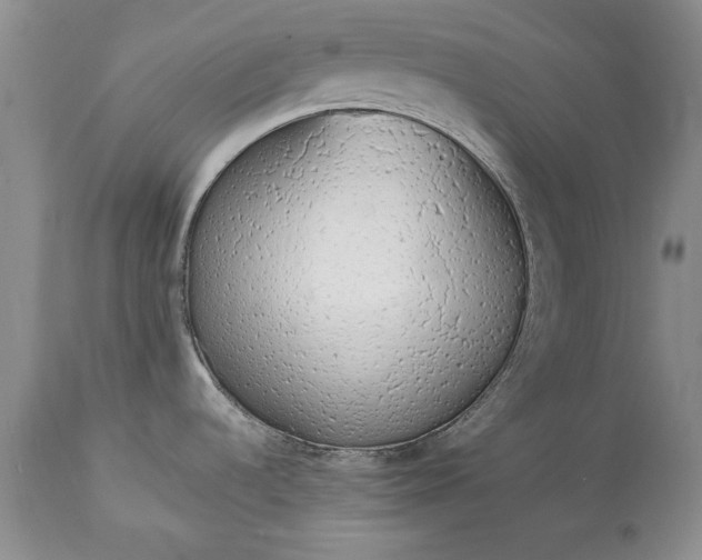 X0000114201536200910231332