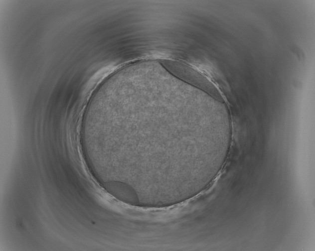 X0000114200001200911061434