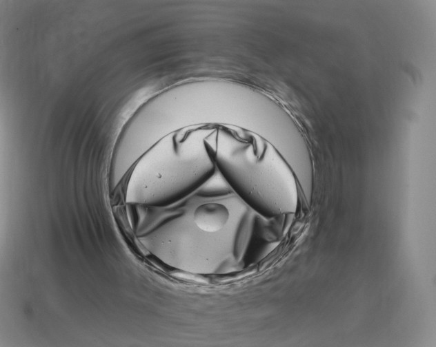 X0000114200003200911061434