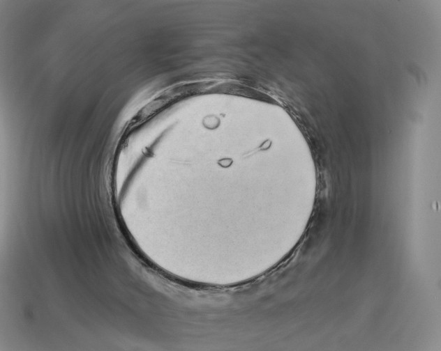 X0000114200004200911061434