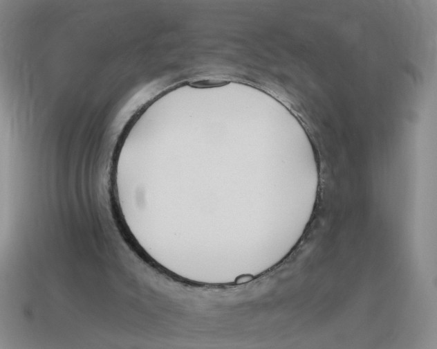 X0000114200007200911061434