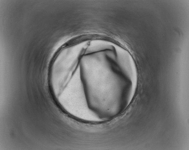 X0000114200008200911061434