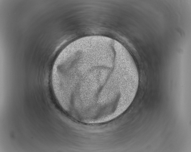 X0000114200010200911061433