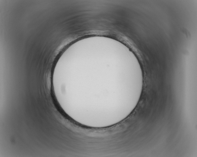 X0000114200011200911061433