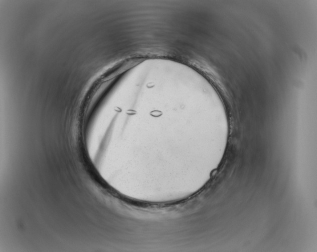 X0000114200012200911061433