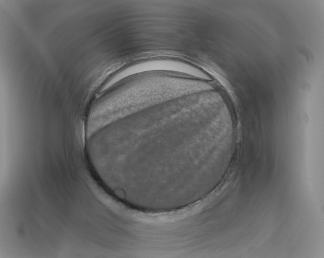 X0000114200013200911061433