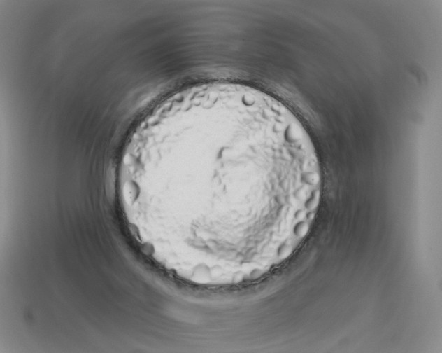 X0000114200014200911061433