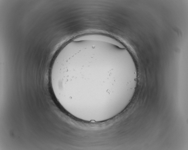 X0000114200015200911061433