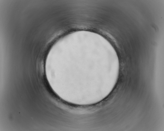 X0000114200020200911061433