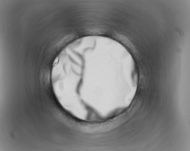 X0000114200021200911061433