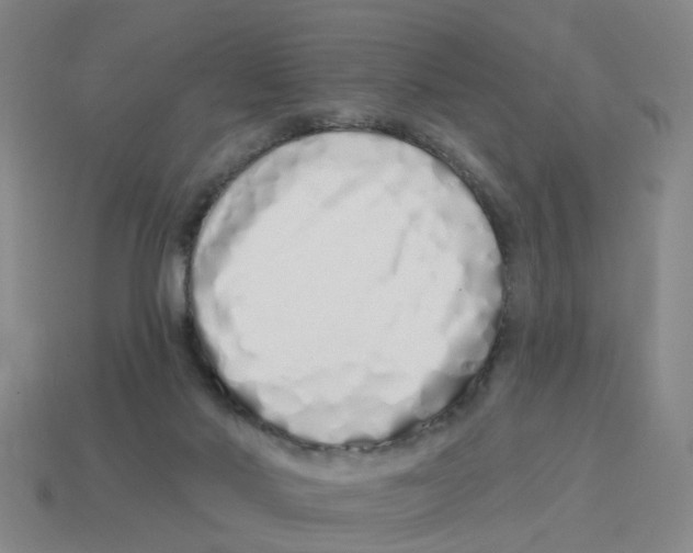 X0000114200022200911061433