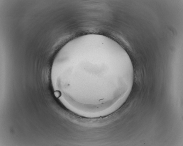 X0000114200023200911061433