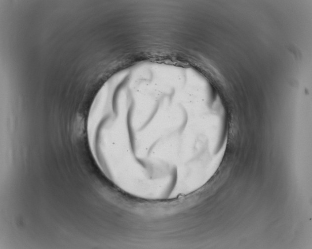 X0000114200025200911061433