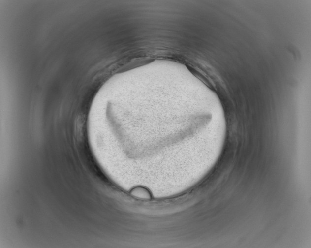 X0000114200026200911061433