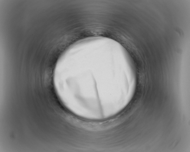 X0000114200030200911061433