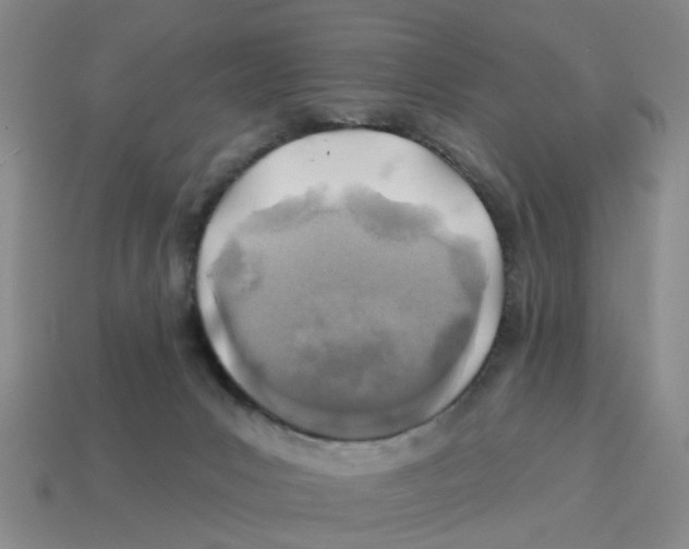 X0000114200031200911061433