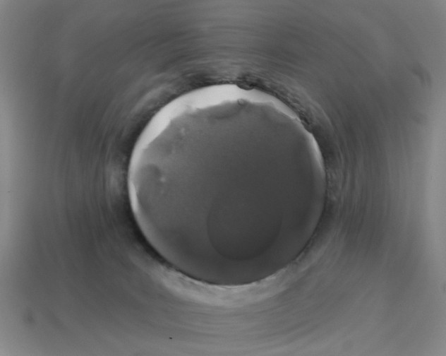 X0000114200035200911061433