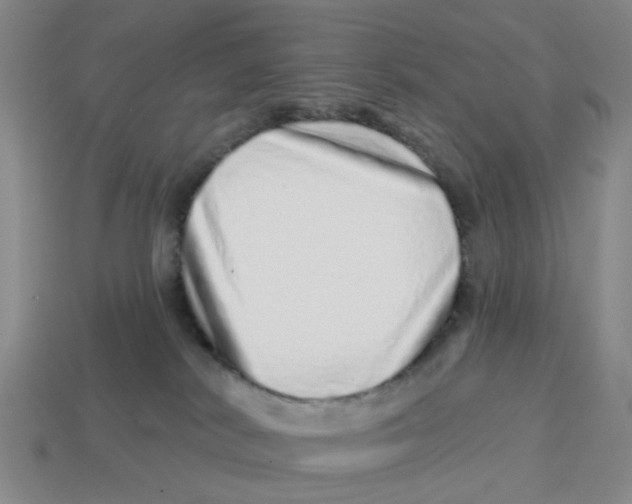 X0000114200038200911061433