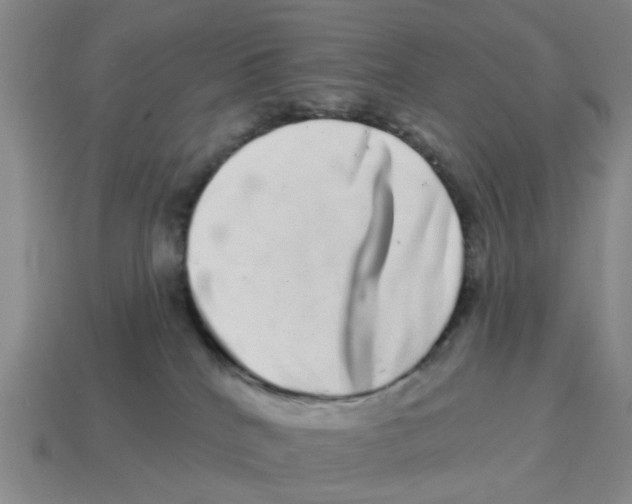 X0000114200040200911061433