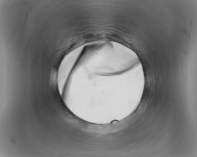 X0000114200041200911061433