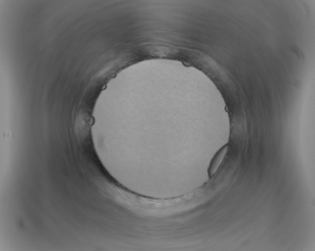 X0000114200043200911061433