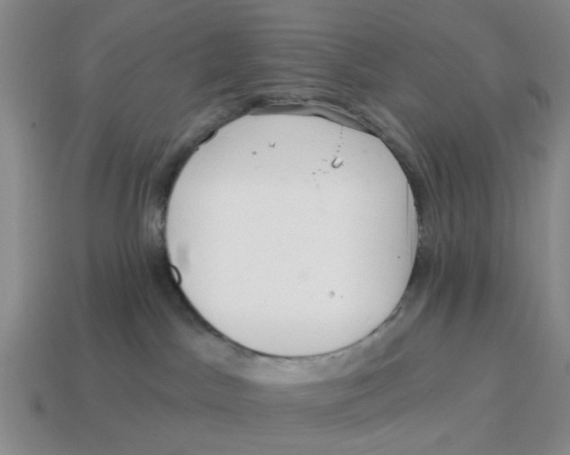 X0000114200045200911061433