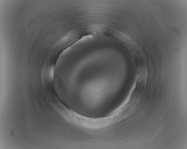 X0000114200047200911061433