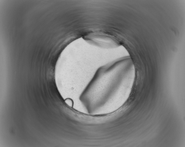 X0000114200048200911061433