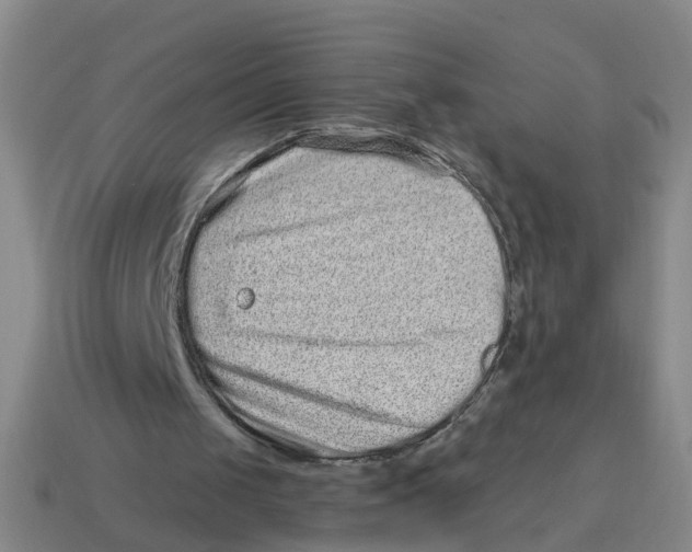 X0000114200049200911061432