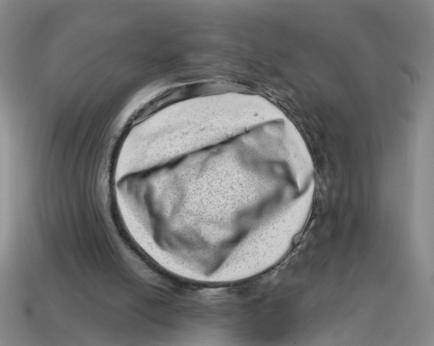 X0000114200054200911061432