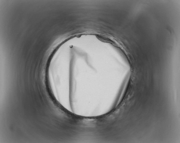 X0000114200055200911061432