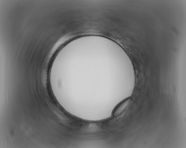 X0000114200056200911061432