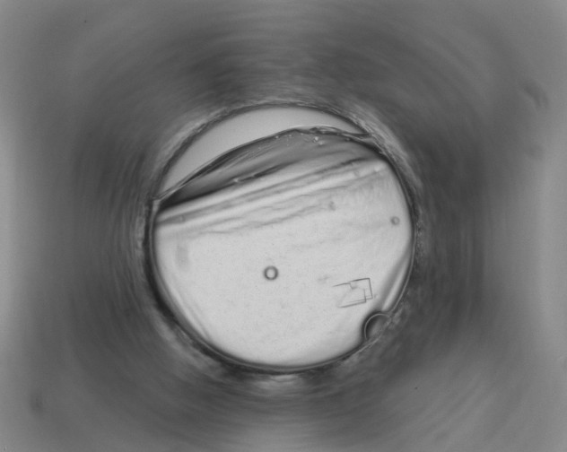 X0000114200058200911061433