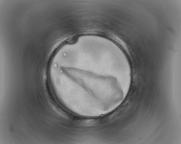 X0000114200059200911061433