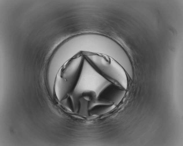 X0000114200060200911061433