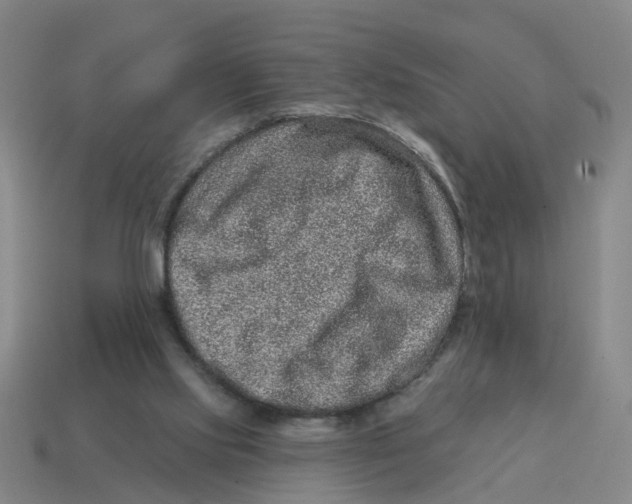 X0000114200061200911061433