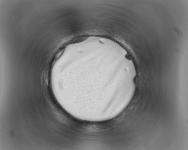 X0000114200062200911061433